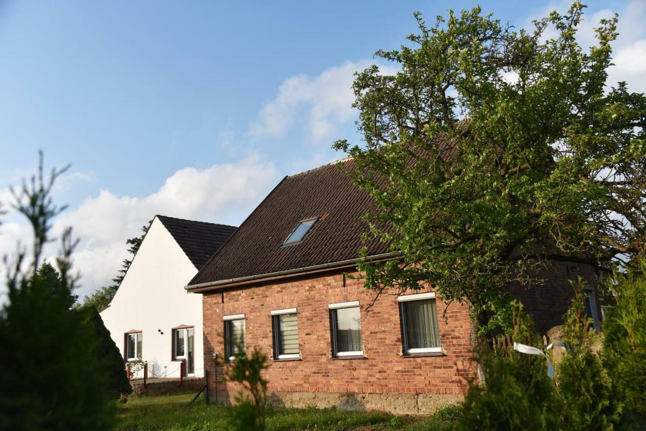 Ferienhaus Biene Wartin Екстериор снимка